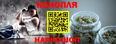 гидропоника Краснознаменск