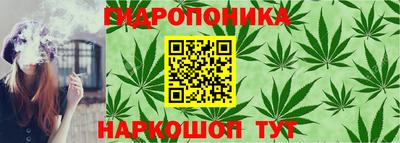 тгк Краснодар